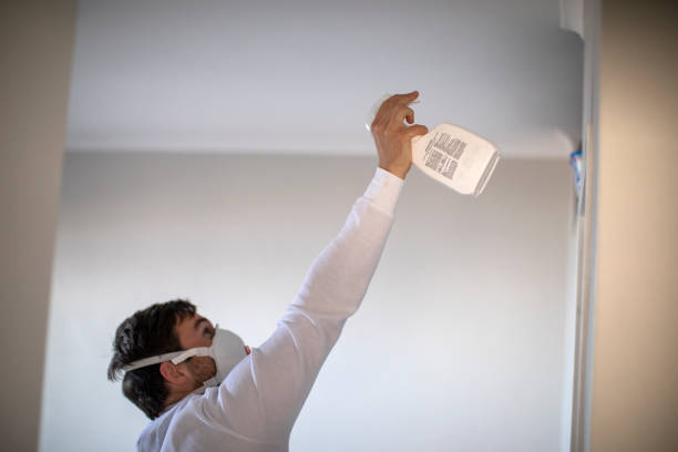 Mold Removal and Inspection in Great Neck Gardens, NY