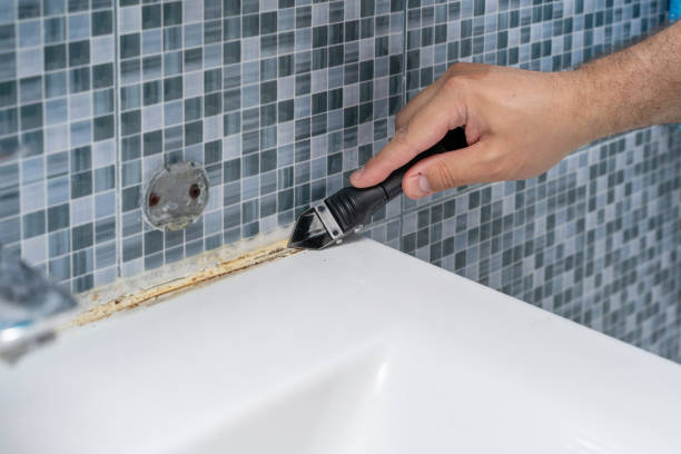 Best Office Mold Removal Services  in Great Neck Gardens, NY