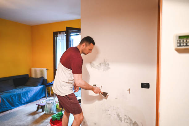 Best Black Mold Removal  in Great Neck Gardens, NY